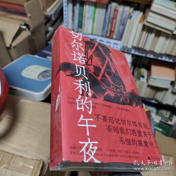 切尔诺贝利的午夜（《纽约时报》《时代周刊》年度图书）