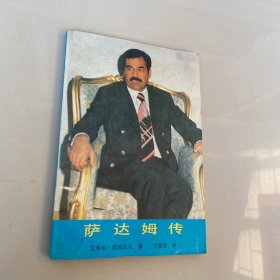 萨达姆传