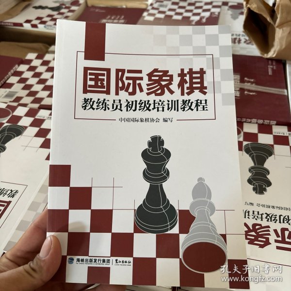 国际象棋教练员初级培训教程