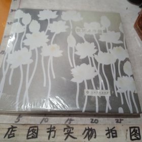 何炳饮艺术作品集