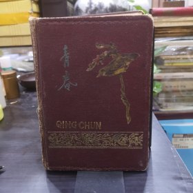 八十年代一个中学生的青春日记一本（1984年7月5日-1991.1）另附家人手札三条（其中两张写在锡都烟标背面），韦曲一中二灶饭票若干，小照片一枚