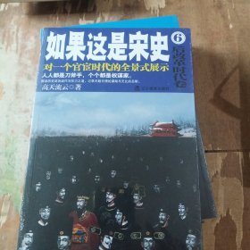 如果这是宋史.6，后改革时代卷