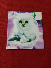 恭贺新喜贺年片:乌兰——吉木斯。猫咪。