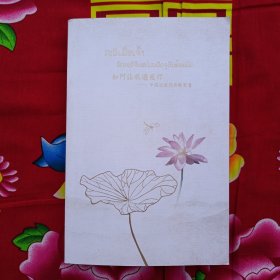 如何让我遇见你--中国近现代诗歌百首 CRI老挝语部签赠本