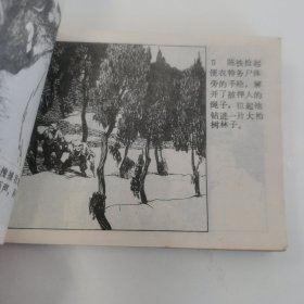 精品连环画：《黄水大队》