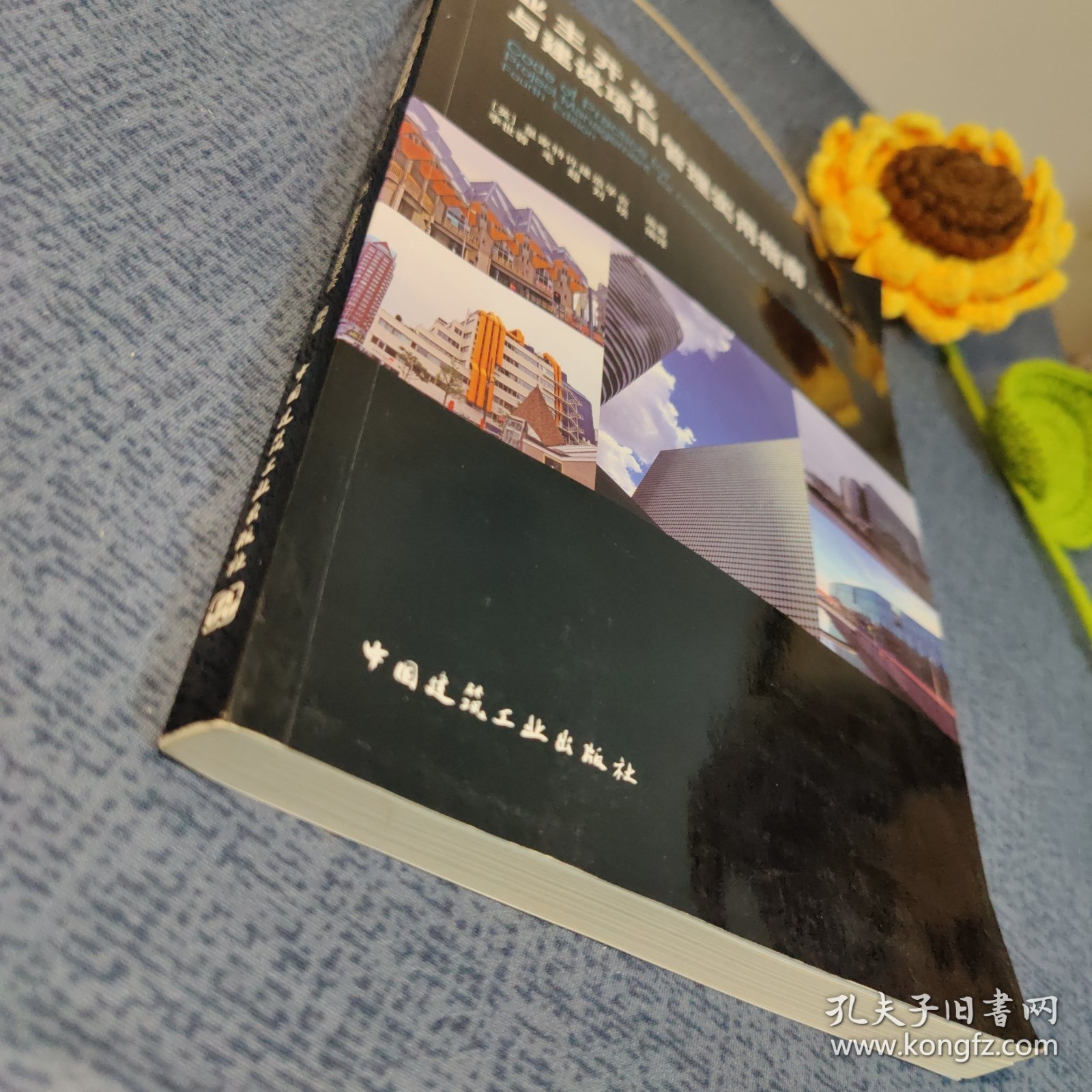 业主开发与建设项目管理实用指南（原著第四版）