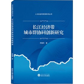 长江经济带城市群协同创新研究