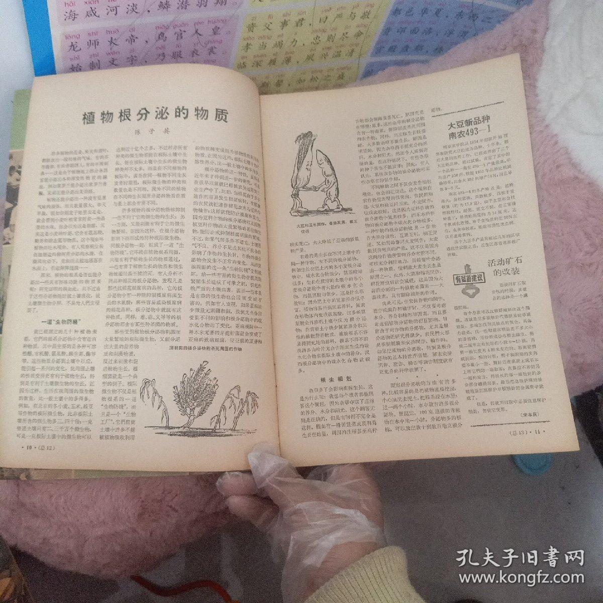 科学大众1965第1期