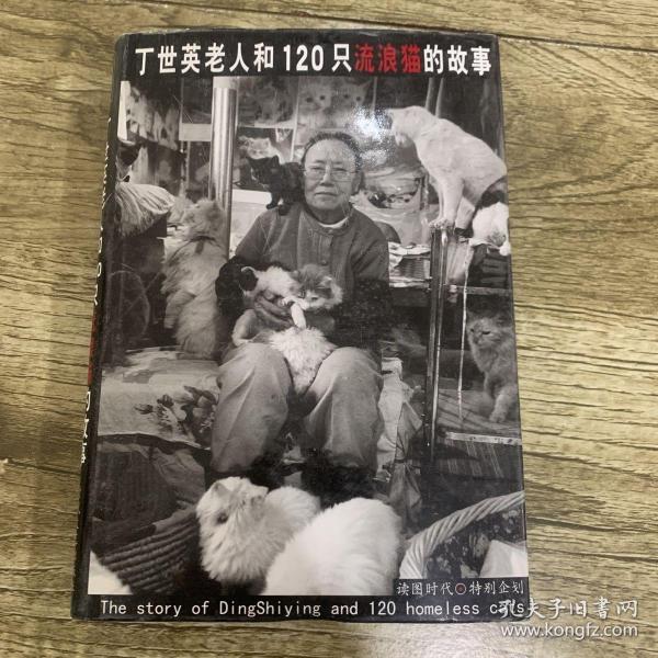 丁世英老人和120只流浪猫的故事