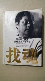 找魂：王志纲工作室战略策划10年实录