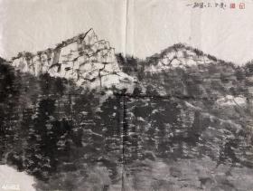 杜大恺 水墨山水64x42cm 软片