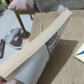 深圳斯芬克思之谜