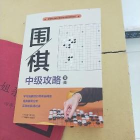 围棋中级攻略宝典：段位自测600例