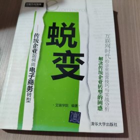 蜕变：传统企业如何向电子商务转型