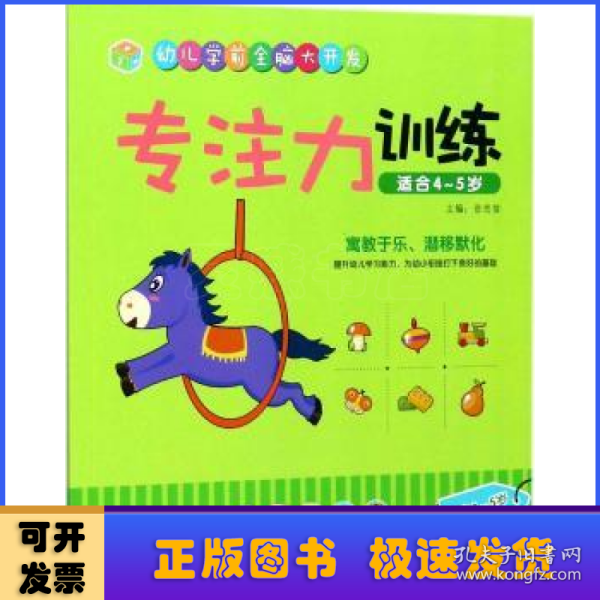 江西教育出版社专注力训练（适合4-5岁）/幼儿学前全脑大开发