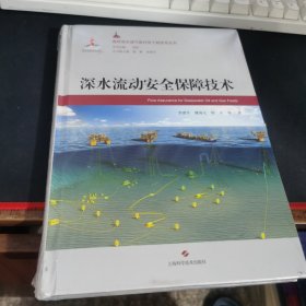 深水流动安全保障技术