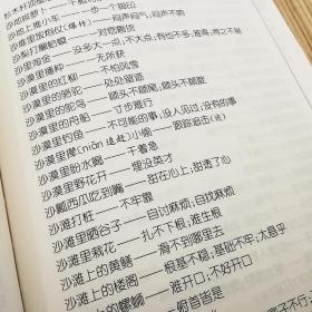 歇后语大词典 普通图书/童书 王陶宇 孙玉芬 四川辞书 9787557910426