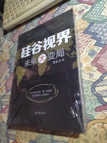 硅谷视界:未来大变局（未开封）