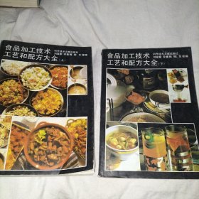 食品加工技术工艺和配方大全  上下