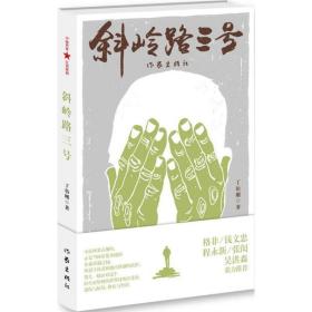 正版 斜岭路三号 丁伯刚 著 9787506393072