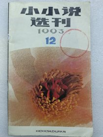 《小小说选刊》1993 12