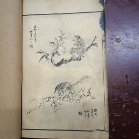 芥子园画传：花卉翎毛谱(卷5)、竹谱(卷3——卷4)二本合订成一册。二册缺版权页、封面页。