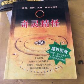 奇灵精怪:精灵、巫师、英雄、魔怪大搜寻