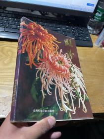 临汾菊花  精美老画册