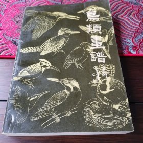 鸟类画谱 齐兆璠 人民美术出版社 鸟类绘画入门绘画基础知识