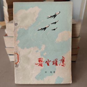 碧空雄鹰