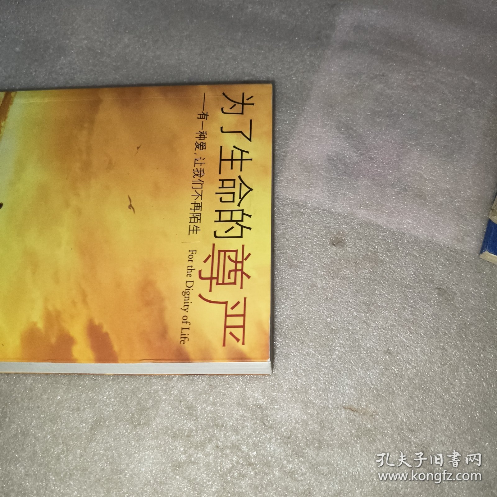 为了生命的尊严