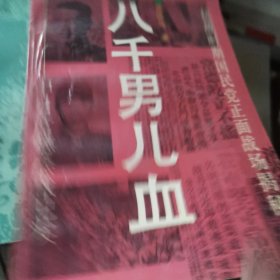 八千男儿血：中日常德会战纪实