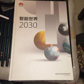 智能世界2030