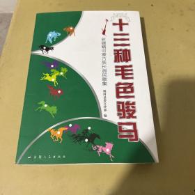 十三种毛色骏马:新疆精河蒙古族长调民歌集