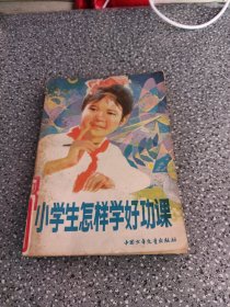小學(xué)生怎樣學(xué)好功課