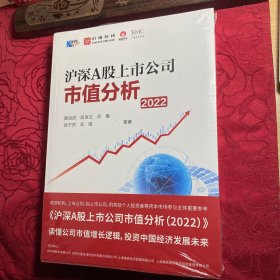 沪深A股上市公司市值分析（2022）