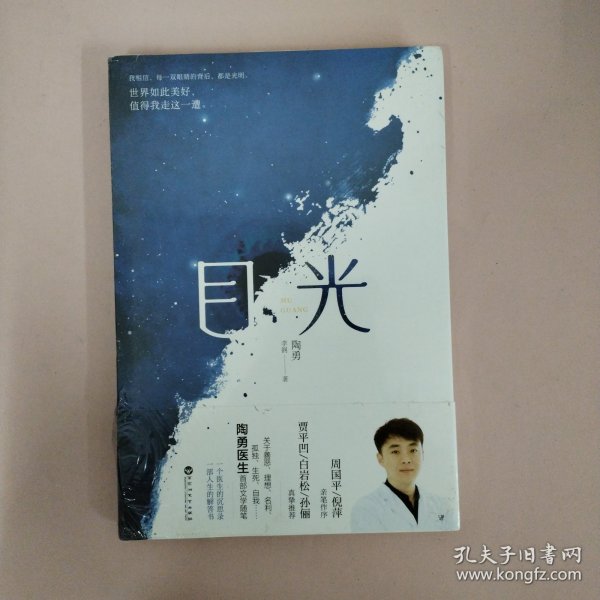 目光（陶勇医生首部文学随笔，周国平/倪萍亲笔作序，贾平凹/白岩松/孙俪真挚推荐。关于善恶、理想、名利、孤独、生死、自我）