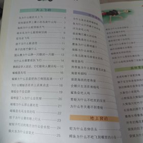 幼儿最好奇的十万个为什么：天鹅、鲨鱼和狮子