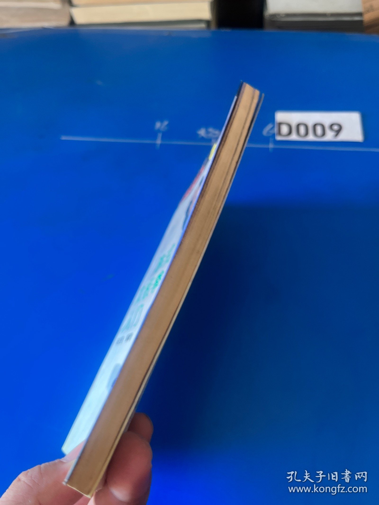 陈式太极拳入门