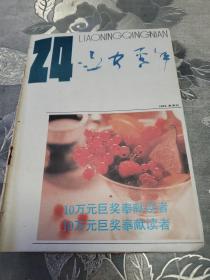 辽宁青年1993.24