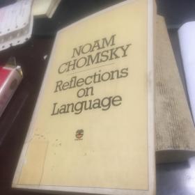 reflections on language by Chomsky。平装本269页