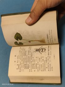 东北常用中草药手册