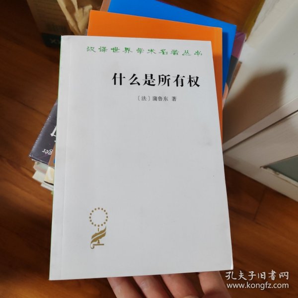 什么是所有权