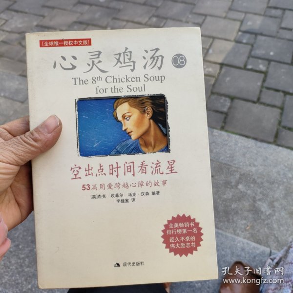 空出点时间看流星：53篇用爱跨越心障的故事