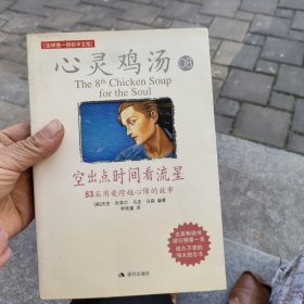 空出点时间看流星：53篇用爱跨越心障的故事