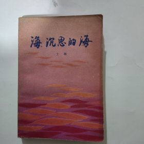 沉思的海