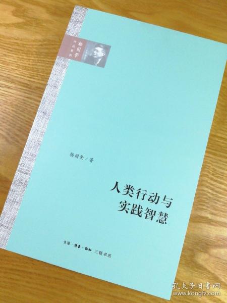 人类行动与实践智慧（杨国荣作品系列）