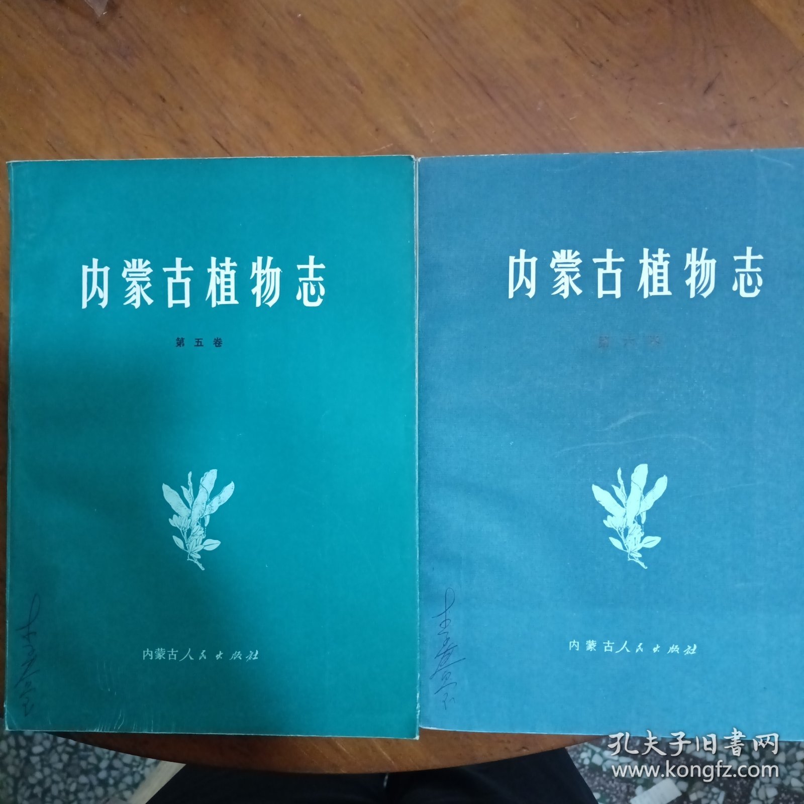 内蒙古植物志第五、六卷