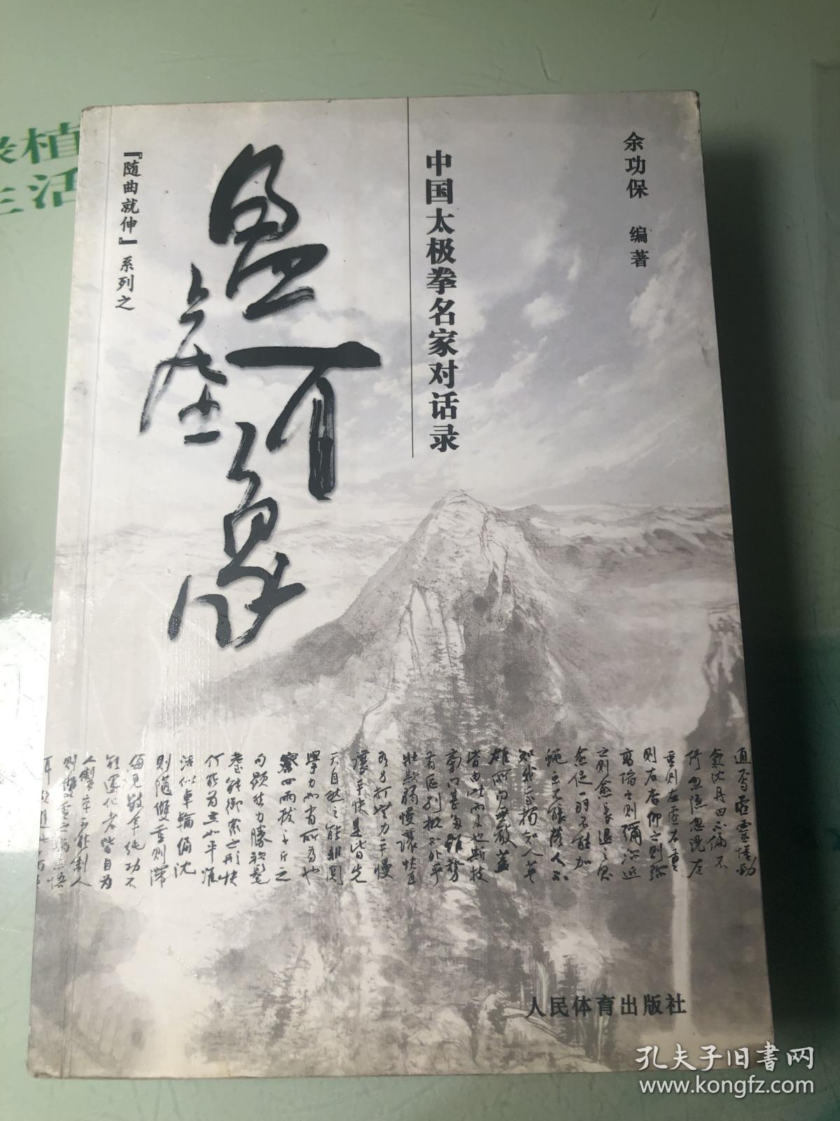 盈虚有象：中国太极拳名家对话录
