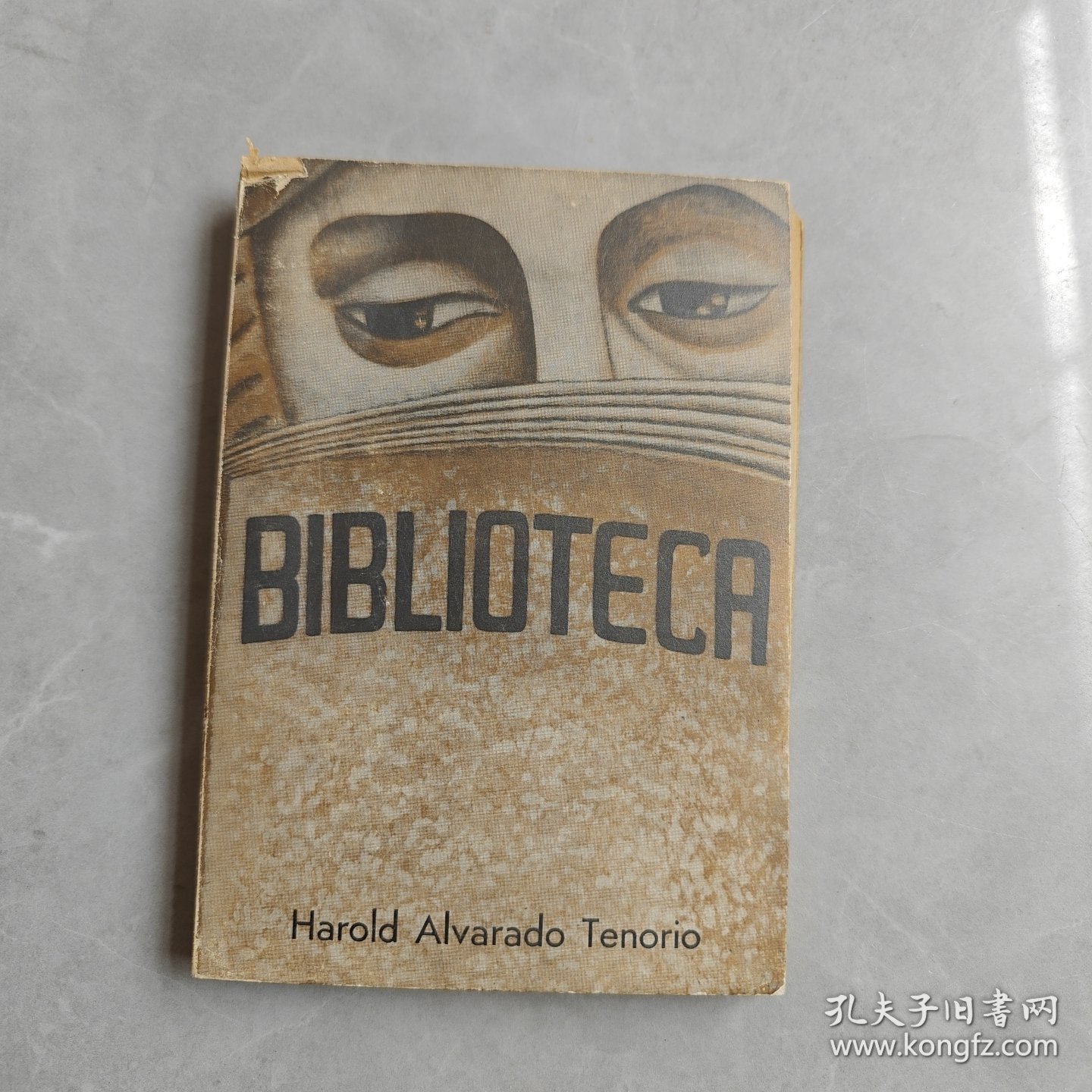 BIBLIOTECA Harold Alvarado Tenorio（哈罗德·阿尔瓦拉多·特诺里奥图书馆）英文版